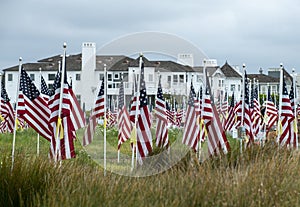 Field of Honor Flag Display in Newport Beach CA