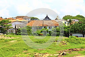 A field with a horse, Galle Fort