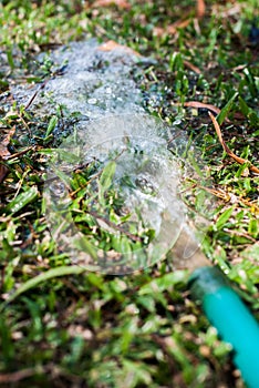 Field hosepipe sprinkler grass