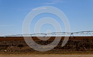 Field irrigated by a pivot sprinkler system