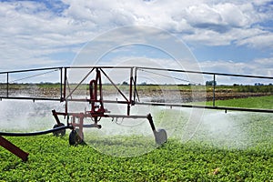 field irrigation