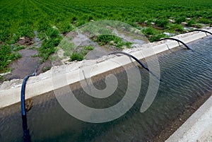 Field Irrigation Ditch