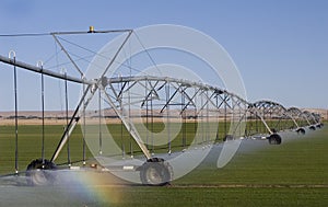 Field Irrigation System