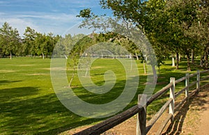 A Field Within Irvine Regional Park