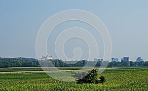 Field with a isolated bush in the foreground, trees belt and a city with historical castle and modern buildings are in the