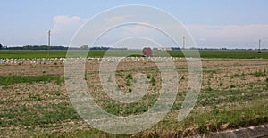 Field in the italian Padana plain with many plastic bags to prot photo
