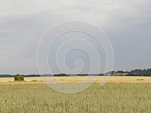 A field in Kashubia photo