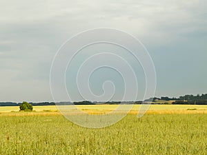 A field in Kashubia photo
