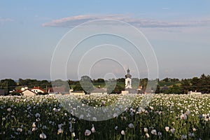 Field with Kostel svateho Augustina in Strahovice village North Moravia, Silesia, Czech republic