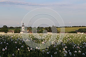 Field with Kostel svateho Augustina in Strahovice village North Moravia, Silesia, Czech republic