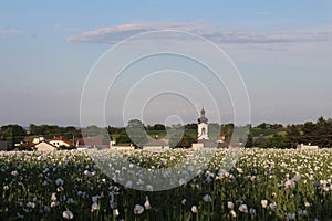 Field with Kostel svateho Augustina in Strahovice village North Moravia, Silesia, Czech republic photo