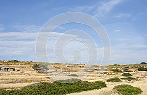 Field in Koufonisi island