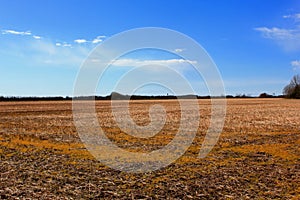 Field landscape