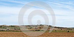 Field landscape photo