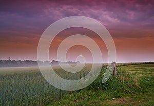 Field, landscape and clouds in nature, sunset or peace in morning with countryside tranquility. Freedom, zen and sunrise