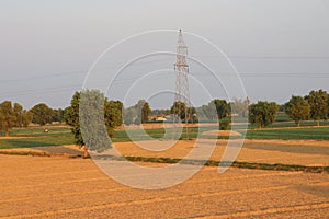 Field landscape green with powerline