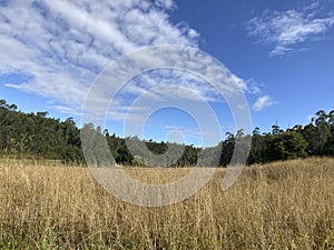 A field landscape surrounded by the forest in Galicia, Spain.