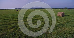Field of large hay bales, low flying aerial