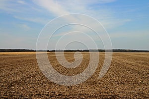 Field in Late Winter