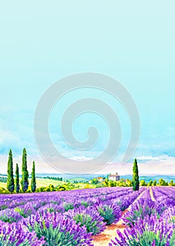 Field of lavender in the country for romantic wedding invitation, save the date card