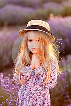 Field of lavender. little girl at Sunset. close up