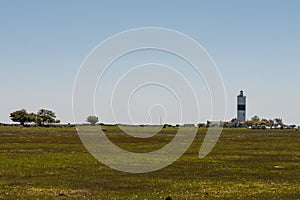 Field with lighthouse Lange Jan on the background in the spring in Oland, Sweden