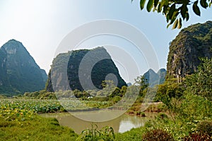 Field with lotuses and a pond in a mountain valley