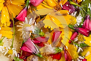 Field and meadow flowers,  Torn off, photographed in the water. Bright colors of breakaway petals