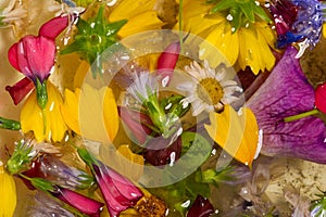 Field and meadow flowers,   Torn off, photographed in the water. Bright colors of breakaway petals