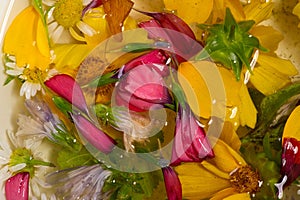 Field and meadow flowers, Torn off, photographed in the water. Bright colors of breakaway petals