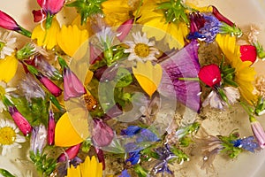 Field and meadow flowers,   Torn off, photographed in the water. Bright colors of breakaway petals