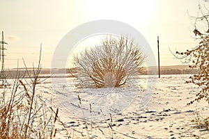 Field, meadow and grass with snow and cold sun on foggy cloudy sky. Beautiful winter landscape. Winter morning, day or