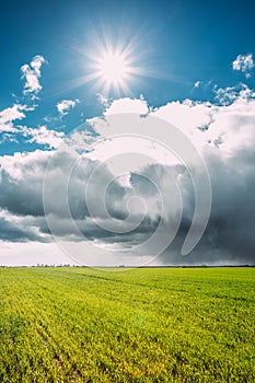 Field Or Meadow Landscape With Green Grass Under Scenic Spring Blue Dramatic