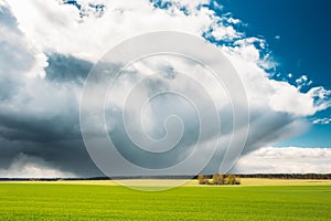 Field Or Meadow Landscape With Green Grass Under Scenic Spring Blue Dramatic Sky With White Fluffy Clouds