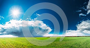 Field Or Meadow Landscape With Green Grass Under Scenic Spring Blue Sky With White Fluffy Clouds And Shining Sun