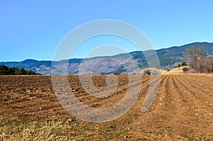 Field in the mountains