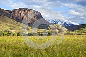 Field and mountains in Wyoming