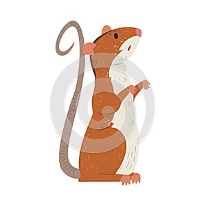 Field Mouse Standing on Hind Legs, Adorable Red Rodent Animal Vector Illustration