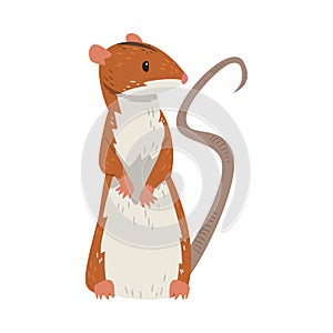 Field Mouse Standing on Hind Legs, Red Rodent Animal Vector Illustration
