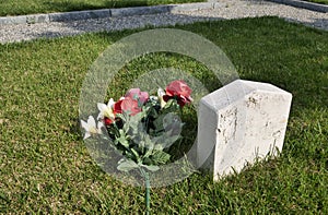 Field 87 in Musocco cemetery photo