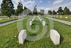 Field 87 in Musocco cemetery photo