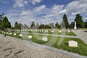 Field 87 in Musocco cemetery photo