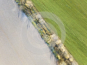 Field near Lugovaya. Plowed land and winter crops. View from above