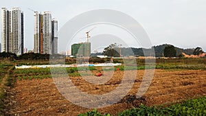 Field nearby the construction sites concept of balance of agriculture & modernize