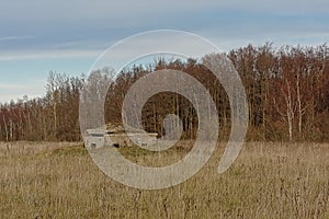 Field with old bunker and birch forest on Pakri Peninsula, Paldiski, Estonia