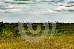 Field overlooking the city