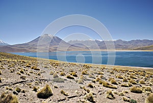 Lake Miscanti with Vulcano MiÃÂ±iques photo