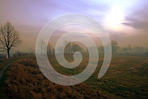 Field path with a cloudy stormy sky in the background.