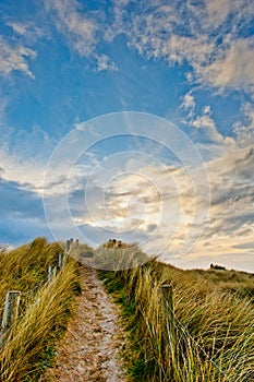 Field path under blue sky in Ireland