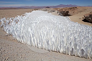 Field of penitentes along the road from La Casualidad to Mina Julia, Puna de Atacama, Argentina photo